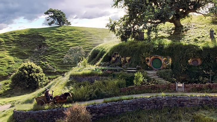 Imagen de la raza